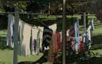 Lazy Summer Laundry 2 - Diptych