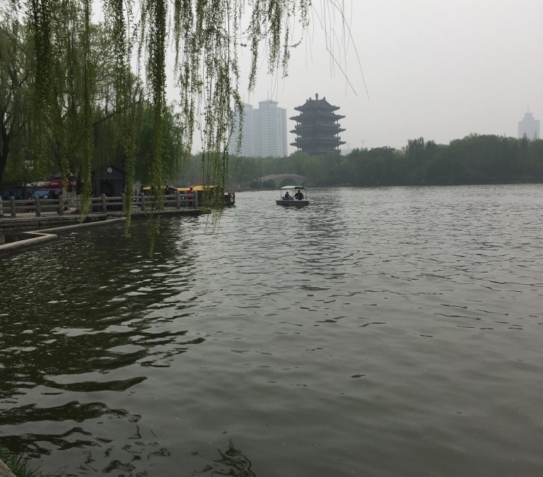 What a long strange trip and a trip to Daming Lake…….Amazing Stuff!