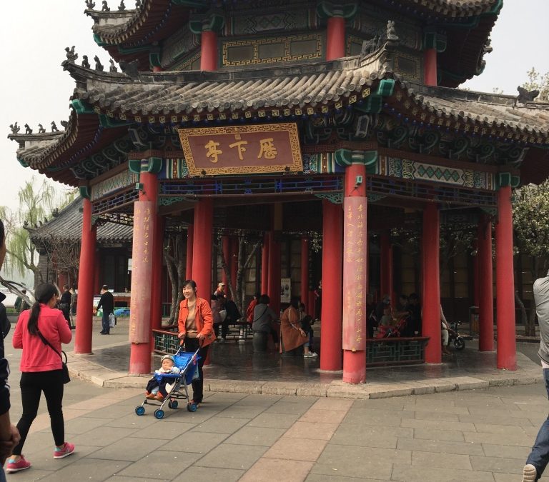 What a long strange trip and a trip to Daming Lake…….Amazing Stuff!