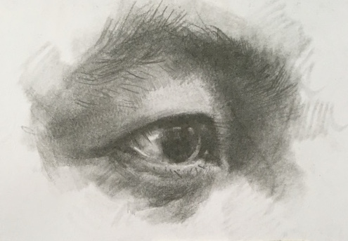 What a long strange trip and the eyes have it, hands down!…….Amazing Stuff!