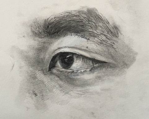 What a long strange trip and the eyes have it, hands down!…….Amazing Stuff!