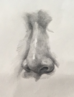 What a long strange trip to be accused of being much too nosey…….Amazing Stuff!