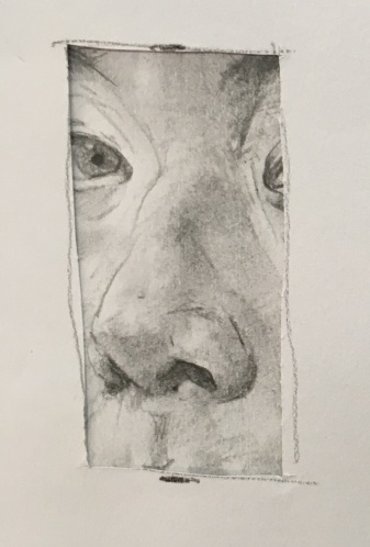 What a long strange trip to be accused of being much too nosey…….Amazing Stuff!